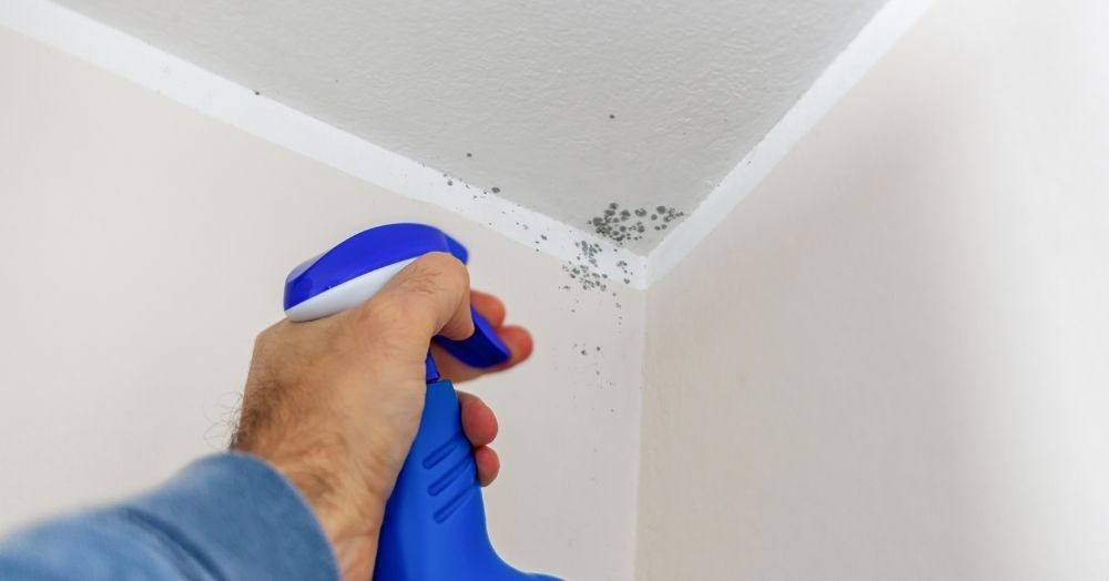 Damp Decoded - When Is it damp or condensation and how to handle it Damp Decoded - When Is it damp or condensation and how to handle it
